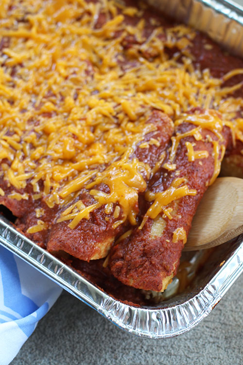 Slow-Cooked Chicken Enchiladas