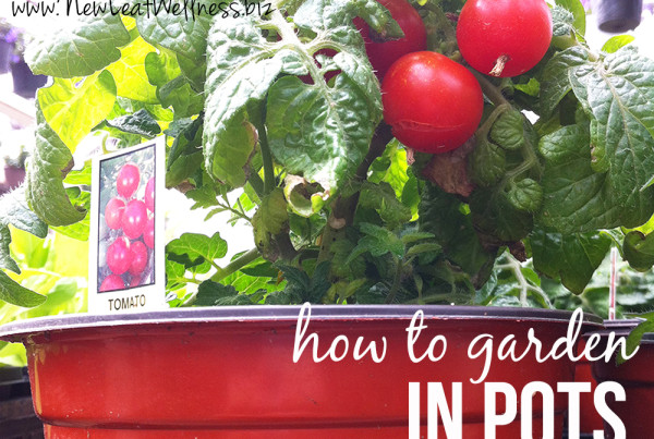 How to grow a planted deck garden