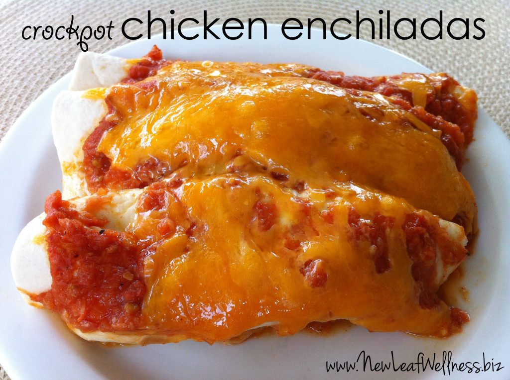 Five chicken crockpot recipes - chicken enchiladas