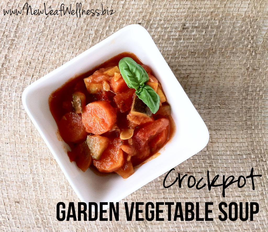 Five Zucchini Recipes - Garden Vegetable Soup