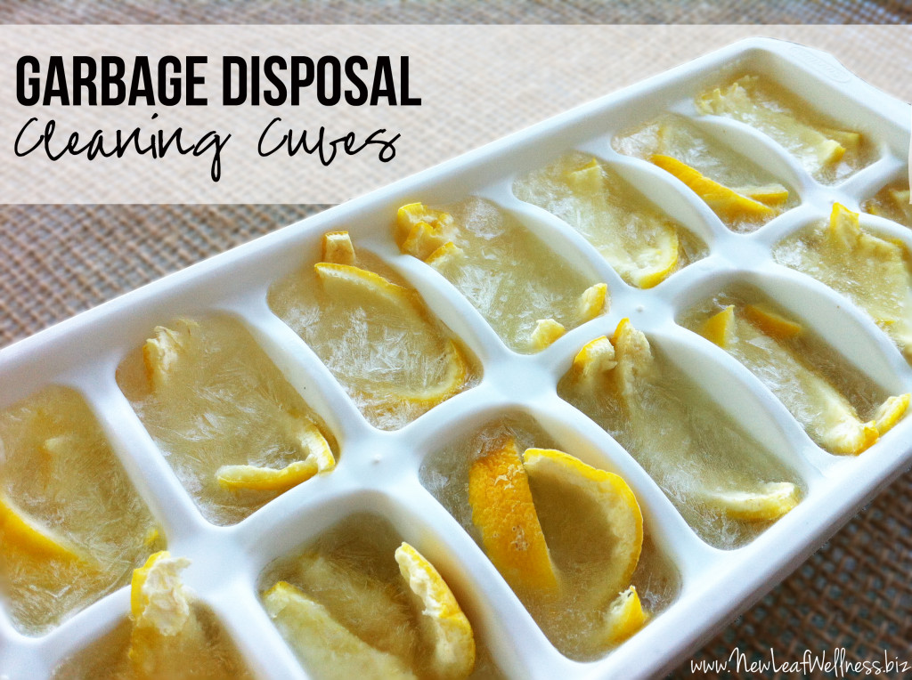 Homemade Garbage Disposal Cleaning Cubes
