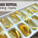 Homemade garbage disposal cleaning cubes
