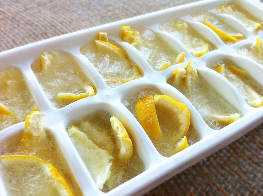 Homemade Garbage Disposal Cleaning Cubes - Frozen in Ice Cube Trays