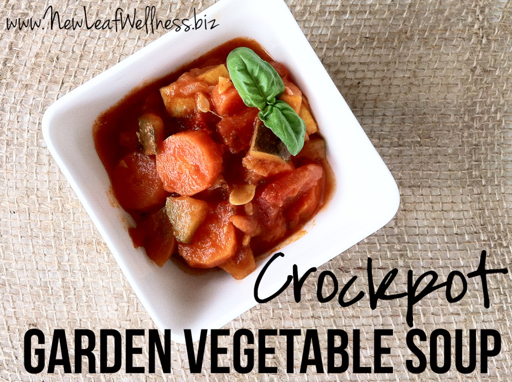 Crockpot Soup Recipes - Garden Vegetable Soup
