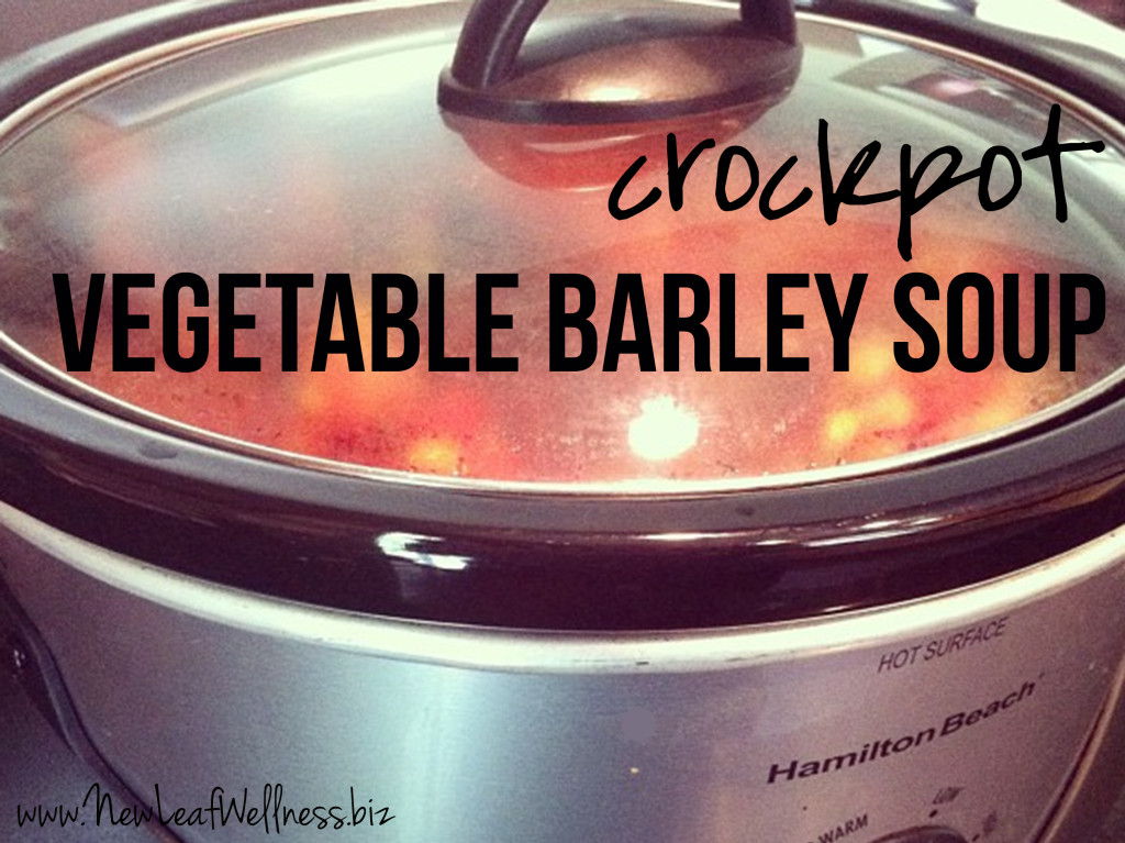 Crockpot Soup Recipes - Vegetable Barley Soup