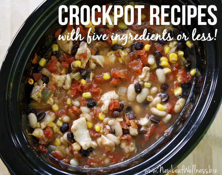Crockpot Recipes With Five Ingredients Or Less | The Family Freezer