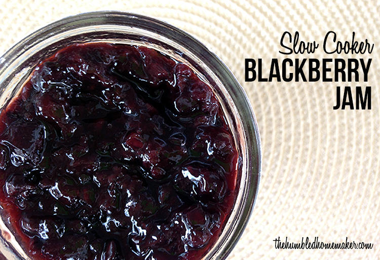 Slow Cooker Blackberry Jam Recipe
