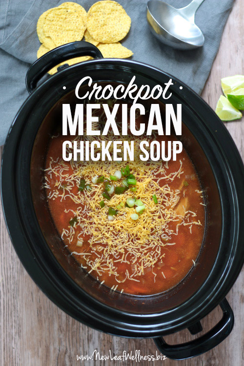 Crockpot Chicken Soup with Mexican Seasonings | The Family Freezer