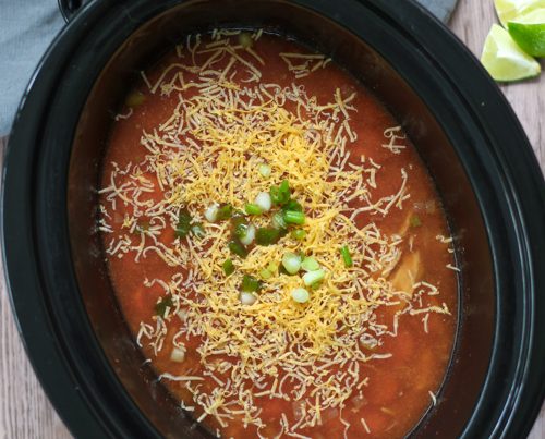 Crockpot Chicken Soup with Mexican Seasonings