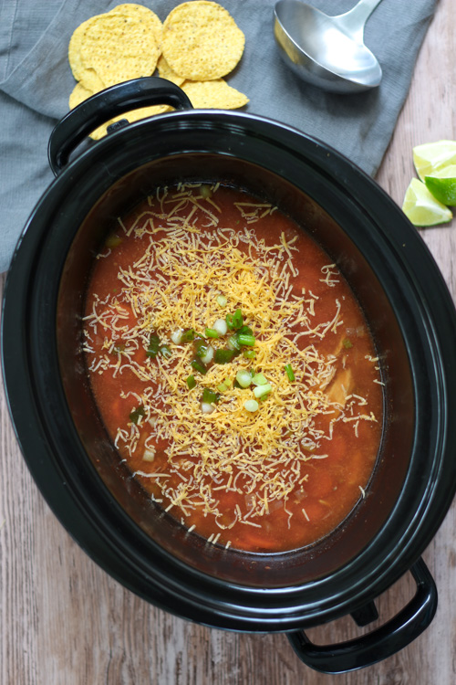 Crockpot Chicken Soup with Mexican Seasonings