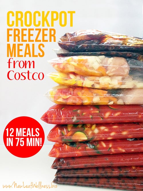 https://thefamilyfreezer.com/wp-content/uploads/2014/11/12-freezer-meals-from-costco.jpg