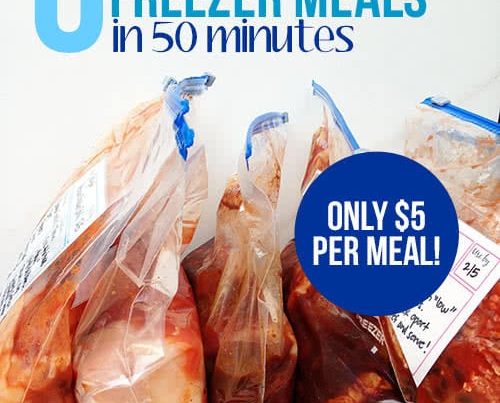 Six Cheap Freezer Crockpot Meals in 50 Minutes