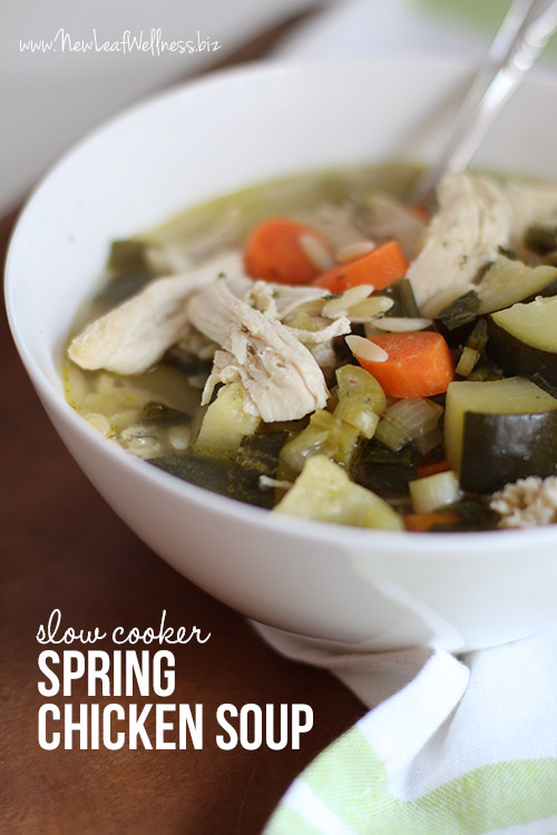 Slow Cooker Spring Chicken Soup