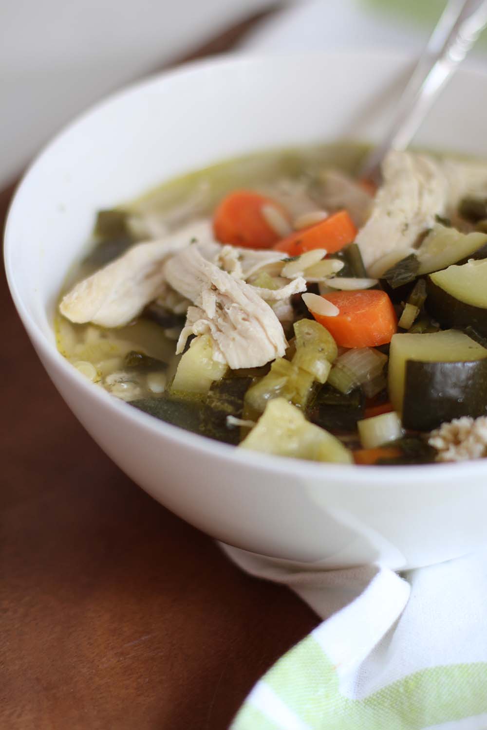 Slow Cooker Spring Chicken Soup