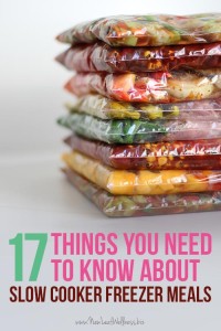 17 things you need to know about slow cooker freezer meals | The Family ...