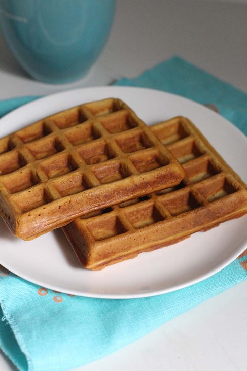 Freezer-to-toaster waffle recipe | The Family Freezer