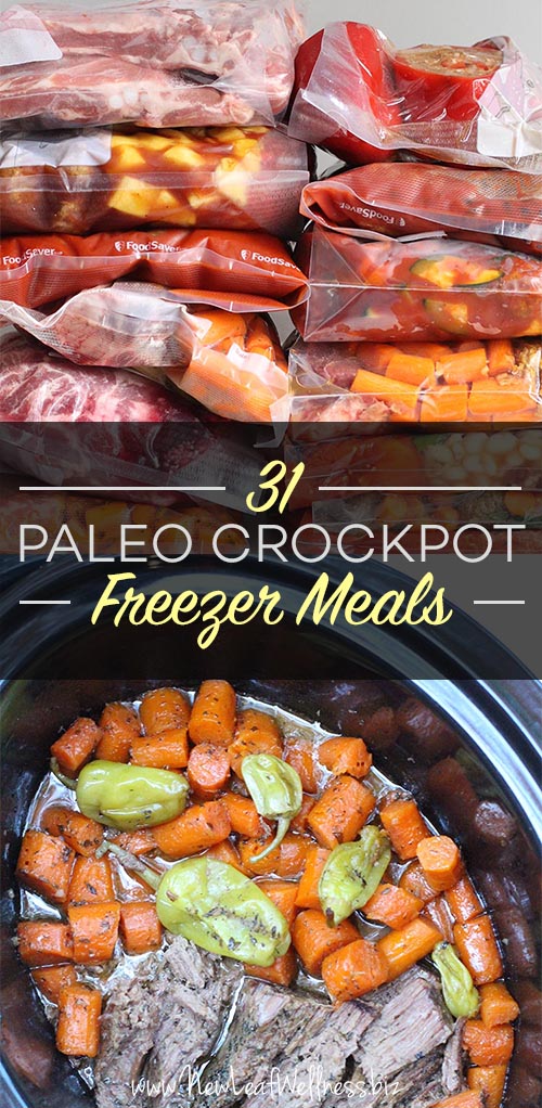 https://thefamilyfreezer.com/wp-content/uploads/2016/10/31-Paleo-Crockpot-Freezer-Meals.jpg