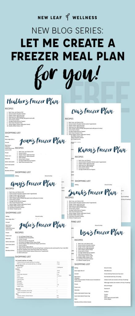 New Blog Series: Let Me Create a Freezer Meal Plan for You! – The