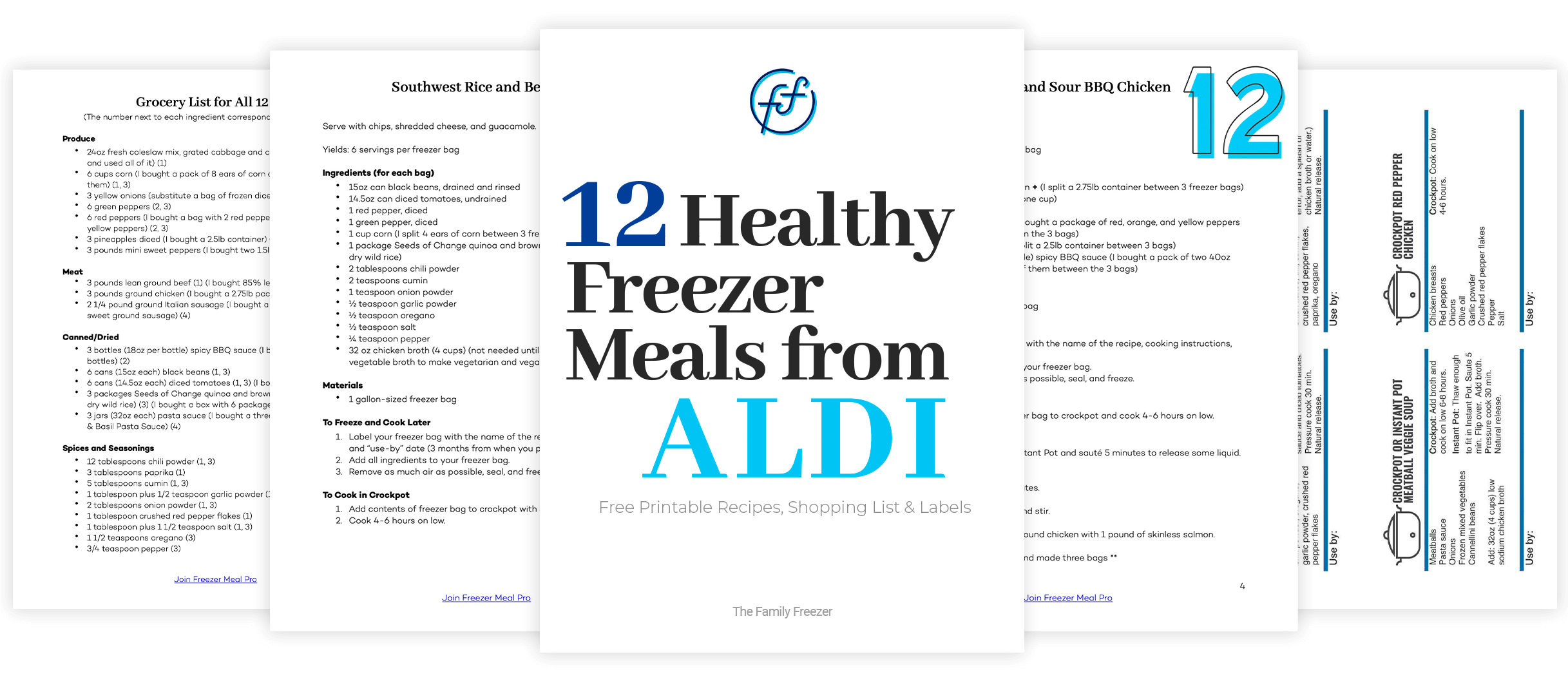 [Live Class] 12 Healthy Freezer Meals from ALDI | The Family Freezer